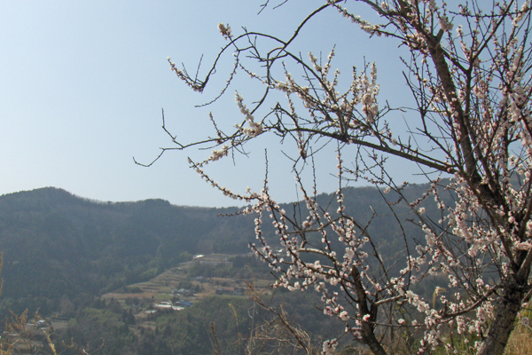 Shikoku